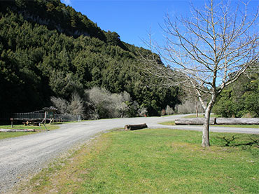 Mangaokewa Scenic Reserve